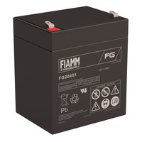 Аккумулятор Fiamm FG20451
