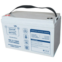Аккумулятор Vektor Energy VB 12-100G